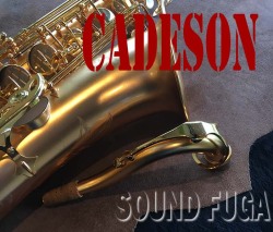 ★Winter Sale★300000→250000　CADESON　T-902SG　希少サテンゴールド　HighF#付　テナーサックス　良品