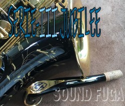 ★期間限定セール★H.SELMER SERIE-III BK　彫刻付 Jubilee　ブラック　78万番台　テナーサックス　新同