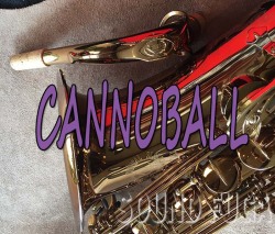 CANNONBALL　TV-PC-L　92/200限定 Pete Christlieb モデル　テナーサックス　美品