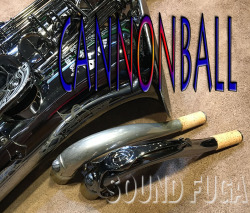 2025★Spring Sale★350000⇒335000　CANNONBALL T5-B　BIG BELL STONE SERIES テナーサックス　良品