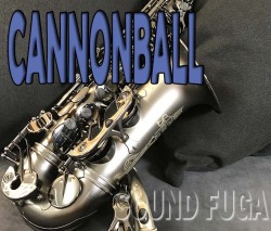 CANNONBALL A5-BiceB　Raven アルトサックス　美品