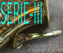 H.SELMER SERIE-III　彫刻付　72万番台　テナーサックス　美品