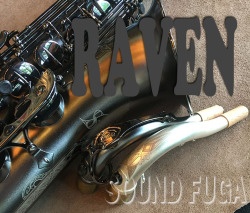 CANNONBALL T5 BiceB　"RAVEN" テナーサックス　極上美品