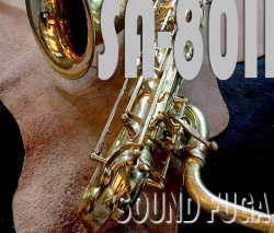 H.SELMER SA-80II シリーズ２　Low-A付　バリトンサックス　良品