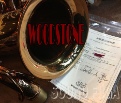 WOODSTONE WST-VL-WOF 希少モデル浜崎氏選定品　テナーサックス極上美品