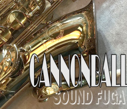 CANNONBALL TVR-L Vintage Reborn　 テナーサックス