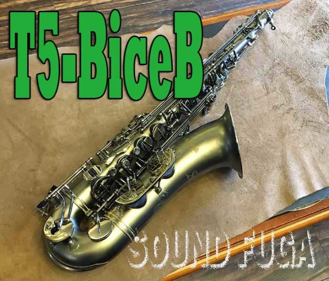 テナーサックス Cannonball T5-Bice B 「RAVEN」 T5-BiceB “The Raven” 【新品】 | 【クロサワ楽器店オンラインショップ