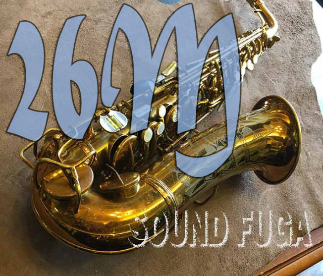 CONN アルトサックス ビンテージ ゴールドラッカー バンドレン ハード