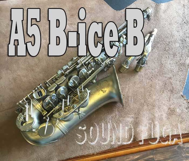 CANONNBALL A-5B iceB Raven アルトサックス