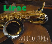 バリトンサックス　Marcato BS-561G 新品同様　Low A付き バリトンサックス Marcato BS-561G 新品同様 Low A付き