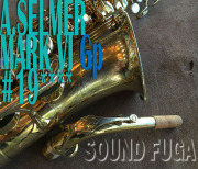 A.SELMER　MARK VI　超希少19万番台　オリジナルGP　アルトサックス