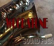 WOODSTONE 希少初期　WST-V-HIGH F＃キー付 テナーサックス