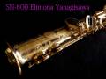 YANAGISAWA SN-800 Elimona ソプラニーノ　極上
