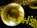 限定１本★新品★　H.SELMER SERIE2 ブラッシュドサテン バリトンサックス