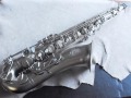 THEO WANNE　MANTRA PLATINUM テナーサックス　新同品