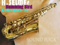 H.SELMER REFERENCE 54 限定バードシリーズ　HUMMING BIRD 希少　アルトサックス