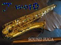 YANAGISAWA T-WO10 TENOR テナーサックス　美品