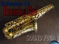 H.SELMER REFERENCE 54 限定バードシリーズ　HUMMING BIRD 希少　アルトサックス　美品