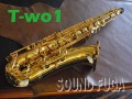 YANAGISAWA T-WO1 TENOR テナーサックス　新同品