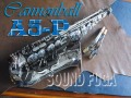 CANNONBALL A5-P “PEGASUS”　限定モデル 銀製ネック　アルトサックス　