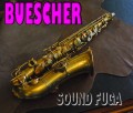 ★★　BUESCHER  ALTO GP アルトサックス 良品