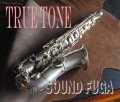 BUESCHER TRUE TONE ALTO 銀メッキ アルトサックス OH済