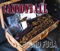 CANNONBALL AVR/PC-L　ビンテージリボーン 限定モデル　アルトサックス　極上美品