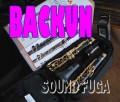 BACKUN　クラリネット　+ BARREL SET 極上美品