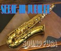 H.SELMER SERIE-III 74万番　JUBILLEE TENOR テナーサックス