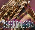 H.SELMER REFERENCE54 アルトサックス　71万番　ベルインナー彫刻 特注品