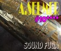 A.SELMER MARK VI 超希少102千番台　オリジナルLQ70％　ソプラノサックス