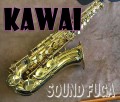 KAWAI KAS-139L　ドイツ製　アルトサックス