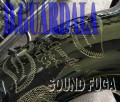D.GUARDALA　NewYork　BN　テナーサックス　希少モデル