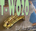 YANAGISAWA T-WO20　上位ブロンズモデル　TENOER テナーサックス　新品購入1年以内