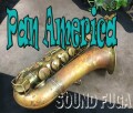 PAN AMERICAN  オリジナルラッカー　テナーサックス