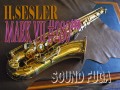 H.SELMER MARK VII 　金メッキ・GP 28万番台 テナーサックス　委託品