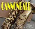 CANNONBALL AVR/PC-L　ビンテージリボーン 限定モデル　アルトサックス