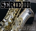 H.SELMER SERIE-III Sterling Silver  ALTO アルトサックス 委託品