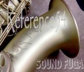 H.SELMER REFERENCE 54　アンティークブラッシュドサテン　テナー