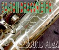H.SELMER　SA-80II　DragonBird　希少バードシリーズ　アルトサックス