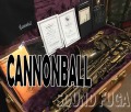 CANNONBALL AVR-BR　Vintage Reborn　 アルトサックス　美品