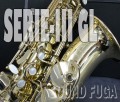 H.SELMER SERIE-III セリエ3 彫刻付　アルトサックス　生産終了品