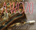 YANAGISAWA A-WO20　ブロンズ上位現行モデル　アルトサックス　美品