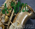 YANAGISAWA A-WO20　ブロンズ上位現行モデル　アルトサックス　極上品