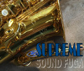 H.SELMER SUPREME（シュプレーム）Dark Gold Lacquer　アルトサックス  美品