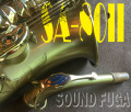 H.SELMER SA-80II BLUSHED SATIN 66万番 アルトサックス