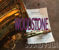 WOODSTONE WSA-GL　High-F#キー付　豪華彫刻　斎藤健太氏選定品　アルトサックス