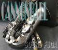 CANNONBALL A5-BiceB　Raven アルトサックス　美品