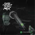 Ortofon オルトフォン Concorde Mk 2 MIX MMステレオカートリッジ Made in Denmark