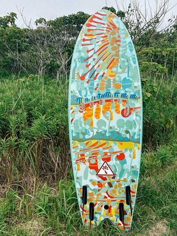 Catch Surf HERITAGE x Andy Davis Retro Fish 5'8 ソフトボード